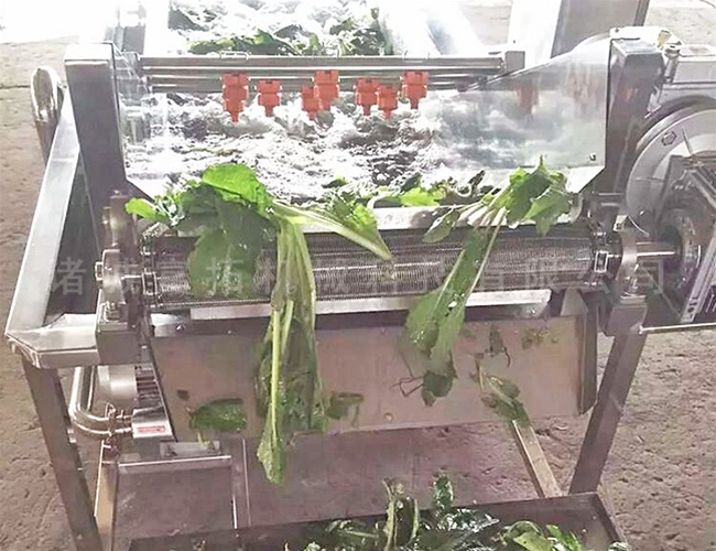 茎菜类喷淋清洗机